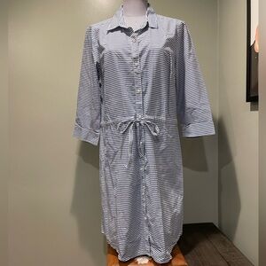 Tommy Hilfiger Blue + White Striped Dress